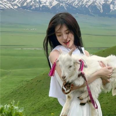 将军的小宠医 动漫版